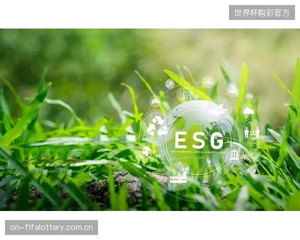 未来增长点预测：随着ESG理念深化，“绿色赛事执行官”将作为一种新型技术零工出现，负责监督赛事的环保指标与可持续实践